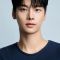 Cha Hak-yeon