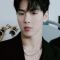 Shownu