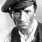 Harold Howard