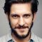 Mathew Baynton