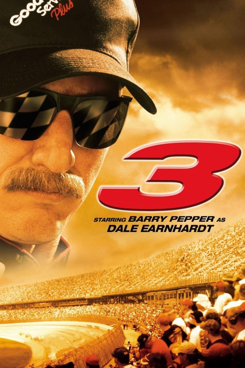 3: The Dale Earnhardt Story (2004) poster
