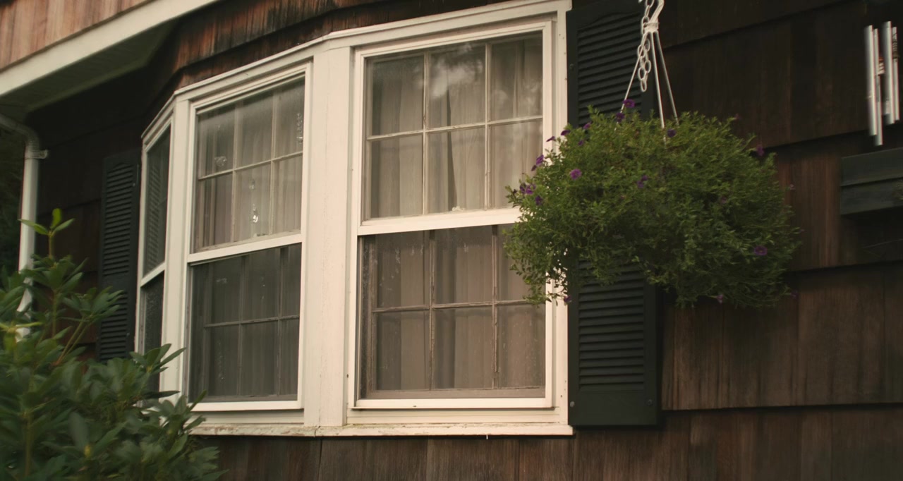 3 Backyards screenshot 2
