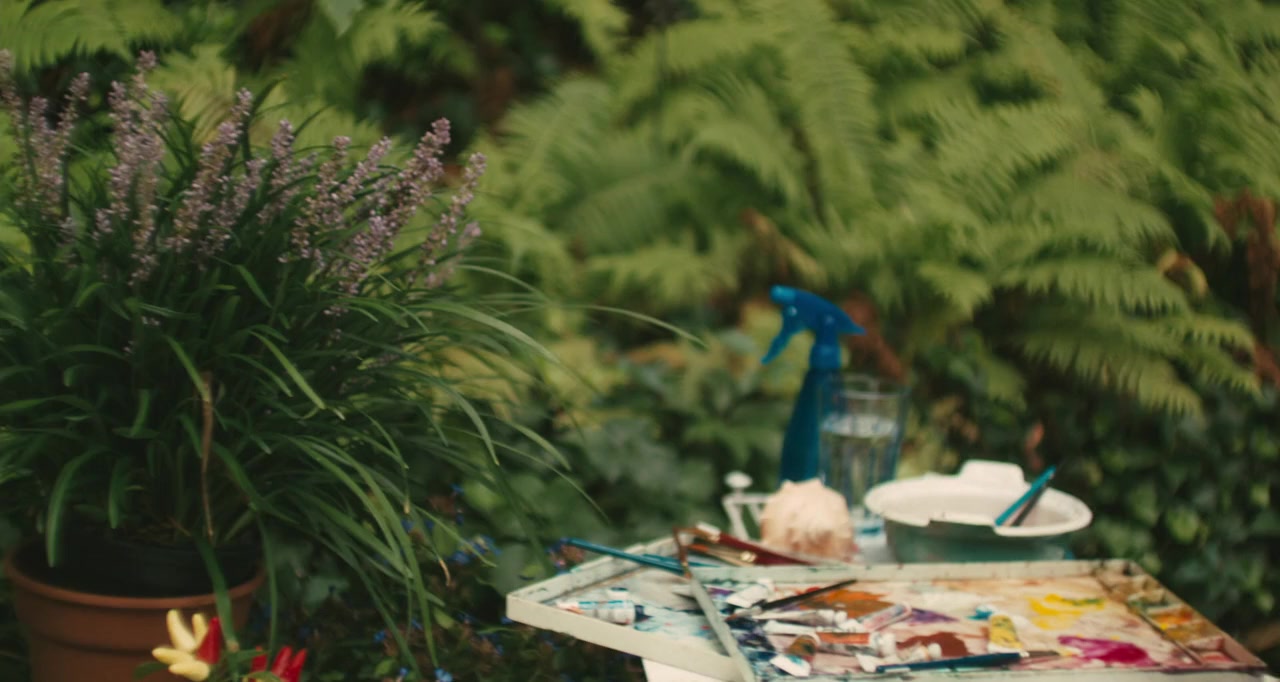 3 Backyards screenshot 3