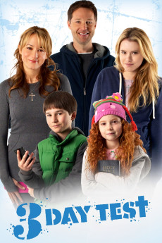 3 Day Christmas (2012) poster