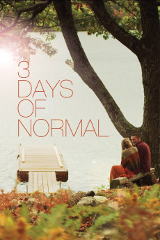 3 Days of Normal (2012) poster