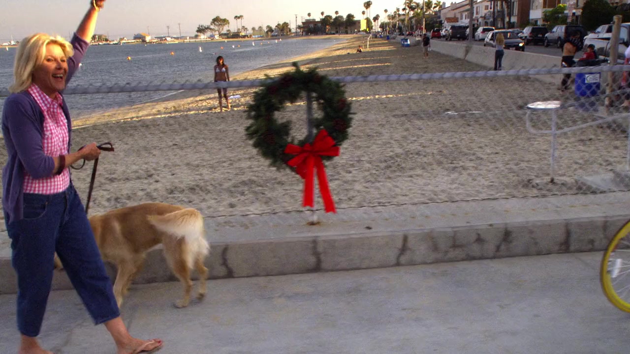 3 Holiday Tails screenshot 2