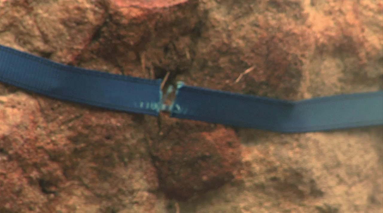 100 Million BC screenshot 2
