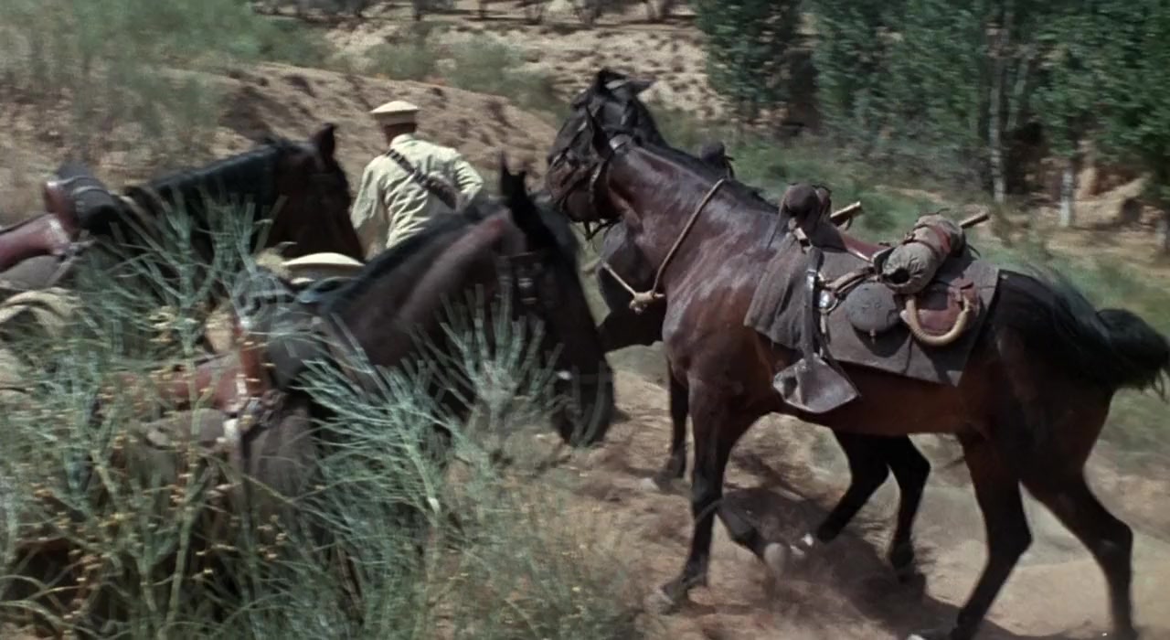 100 Rifles screenshot 2