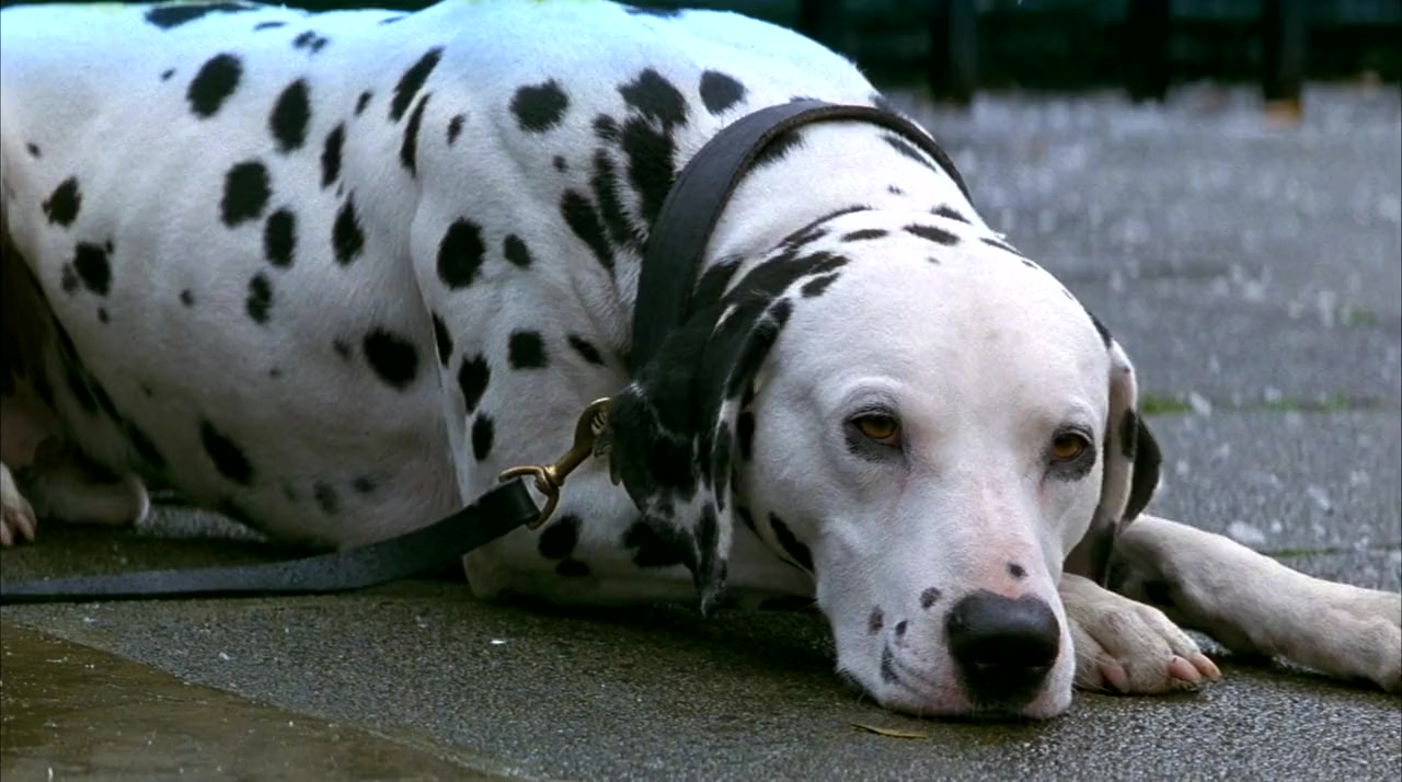 101 Dalmatians screenshot 3