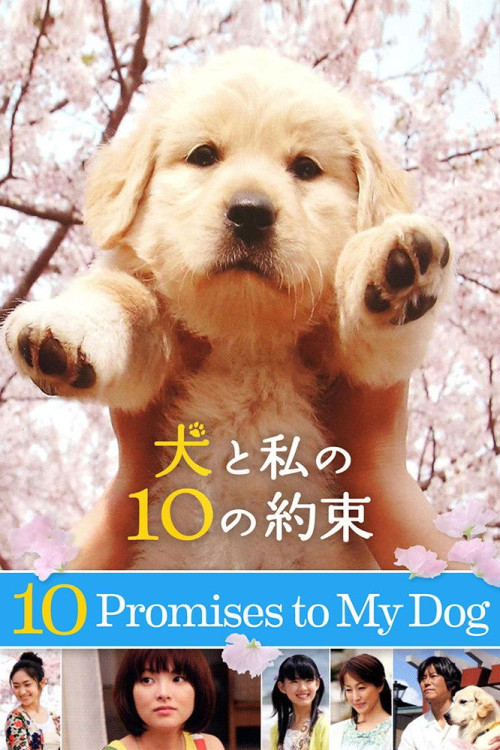 Inu to watashi no 10 no yakusoku (2008) poster