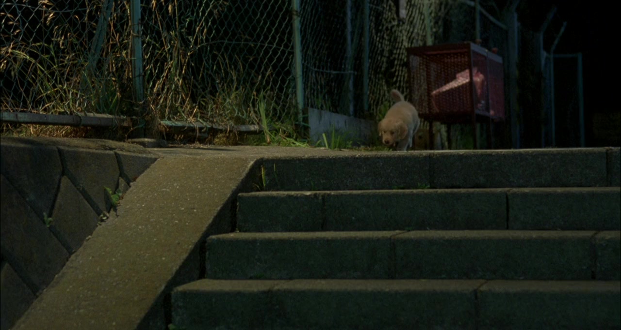 Inu to watashi no 10 no yakusoku screenshot 2