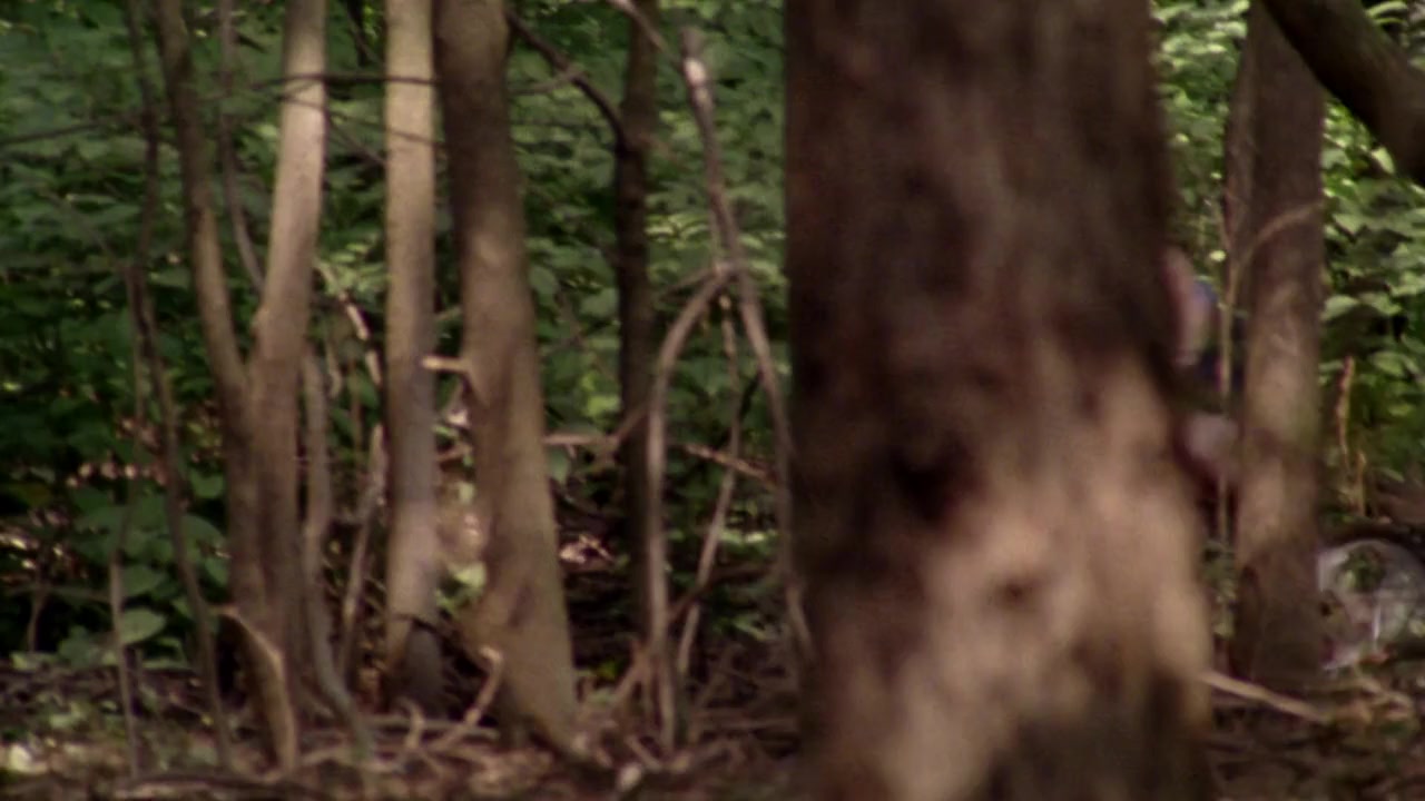 12 and Holding screenshot 1