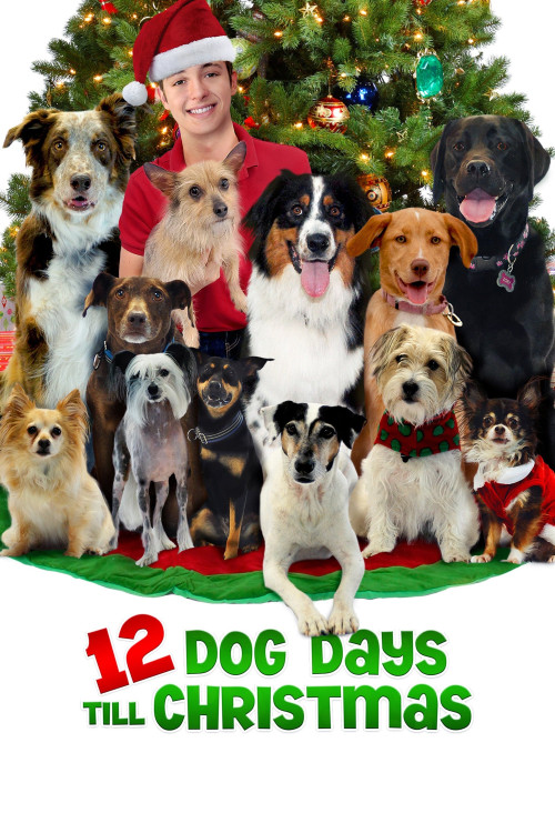 12 Dog Days of Christmas (2014) poster