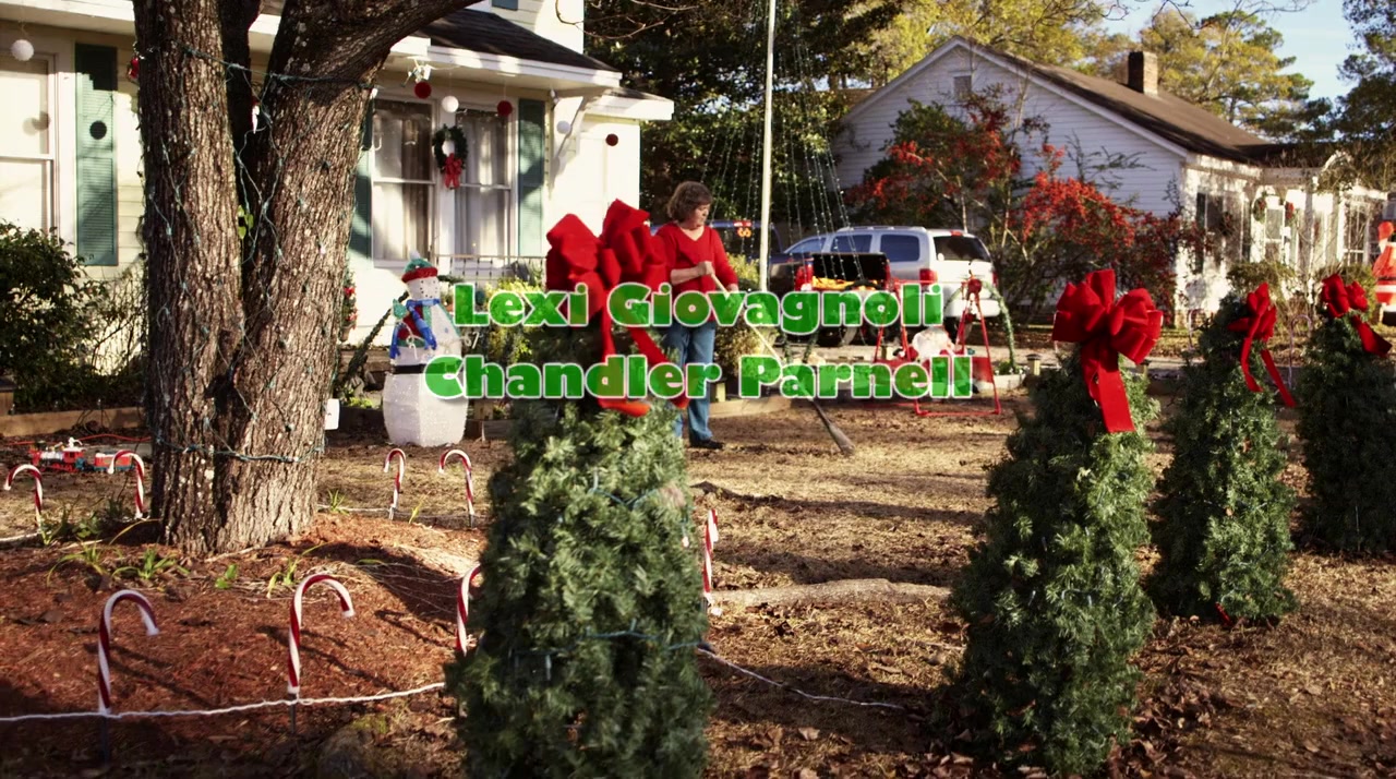 12 Dog Days of Christmas screenshot 1