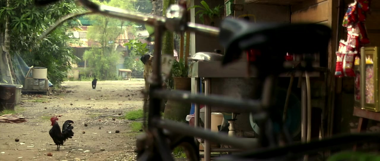 12 Lotus screenshot 1