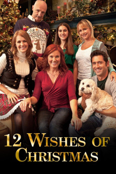 12 Wishes of Christmas (2011) poster
