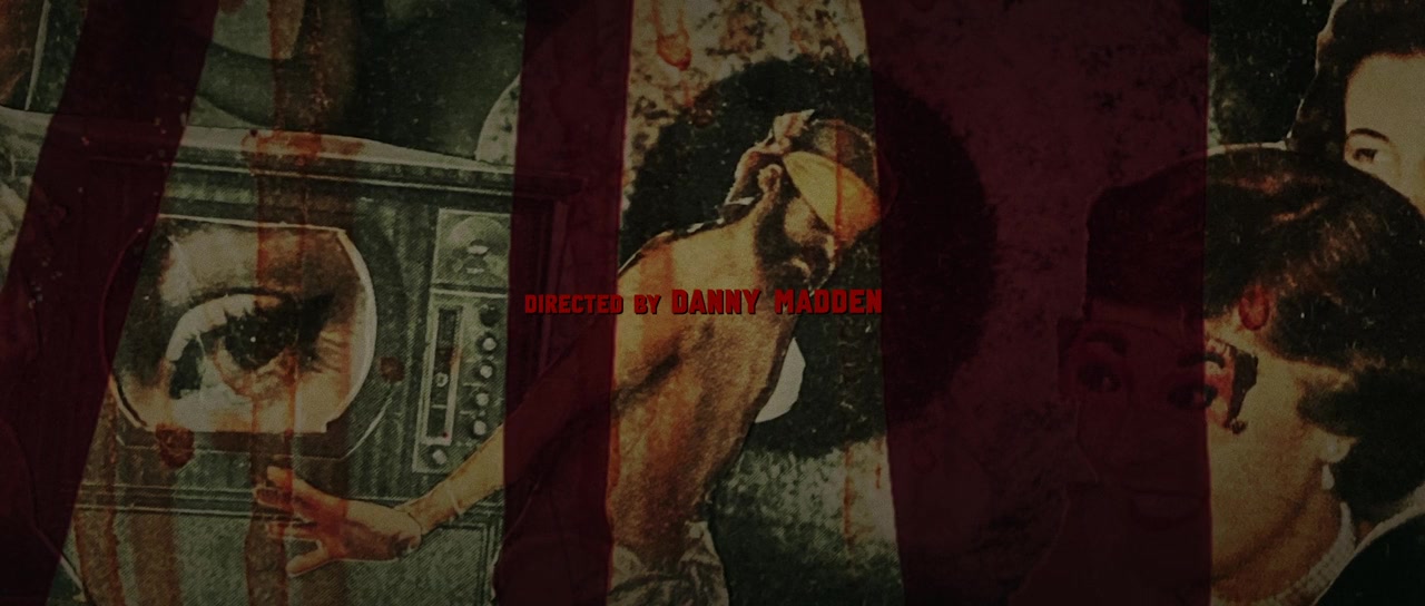 15 Cameras screenshot 3