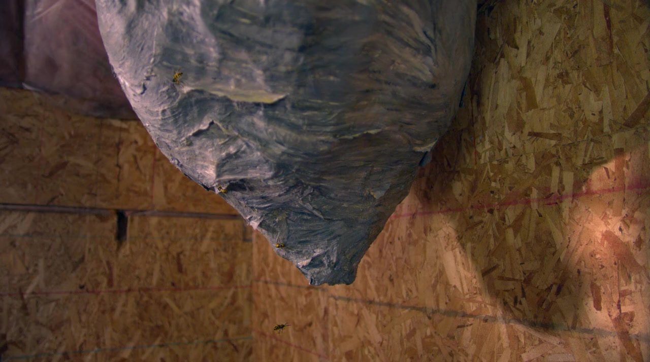 16 Wishes screenshot 1