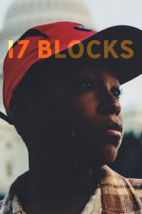 17 Blocks (2019) poster