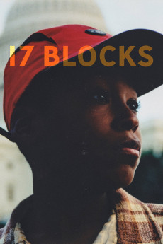 17 Blocks (2019) poster