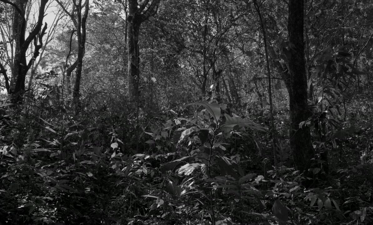 1956, Central Travancore screenshot 1