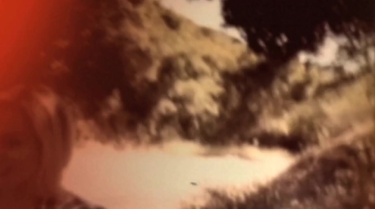 1972 Yellow House screenshot 3