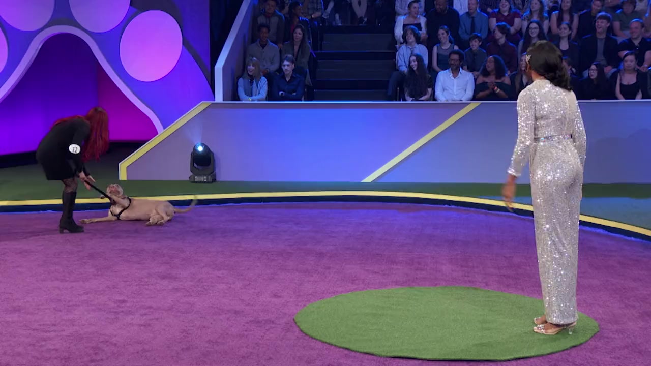 2022 American Rescue Dog Show screenshot 2
