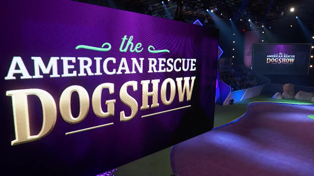 2022 American Rescue Dog Show screenshot 3