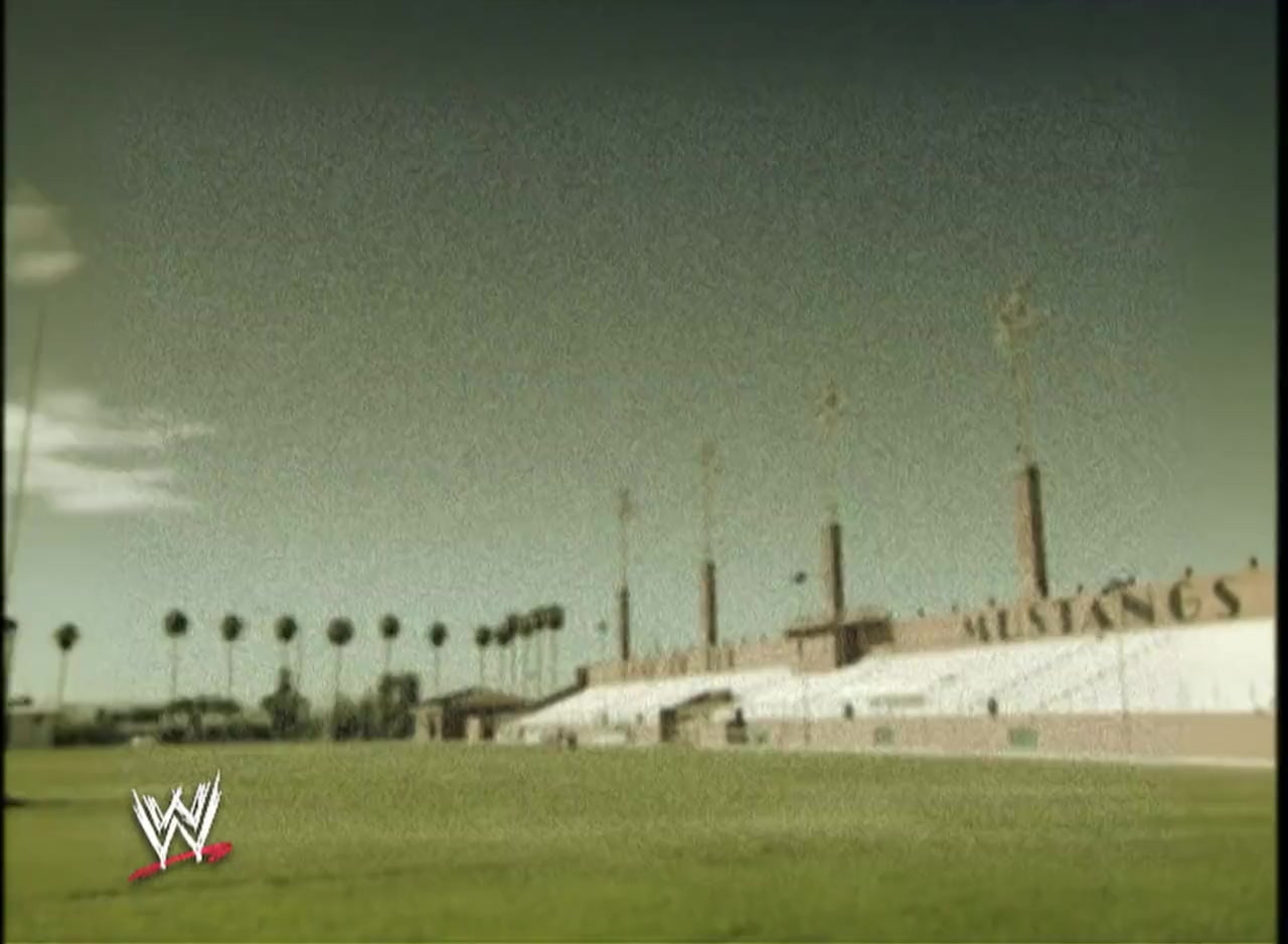 20 Years Too Soon: Superstar Billy Graham screenshot 2