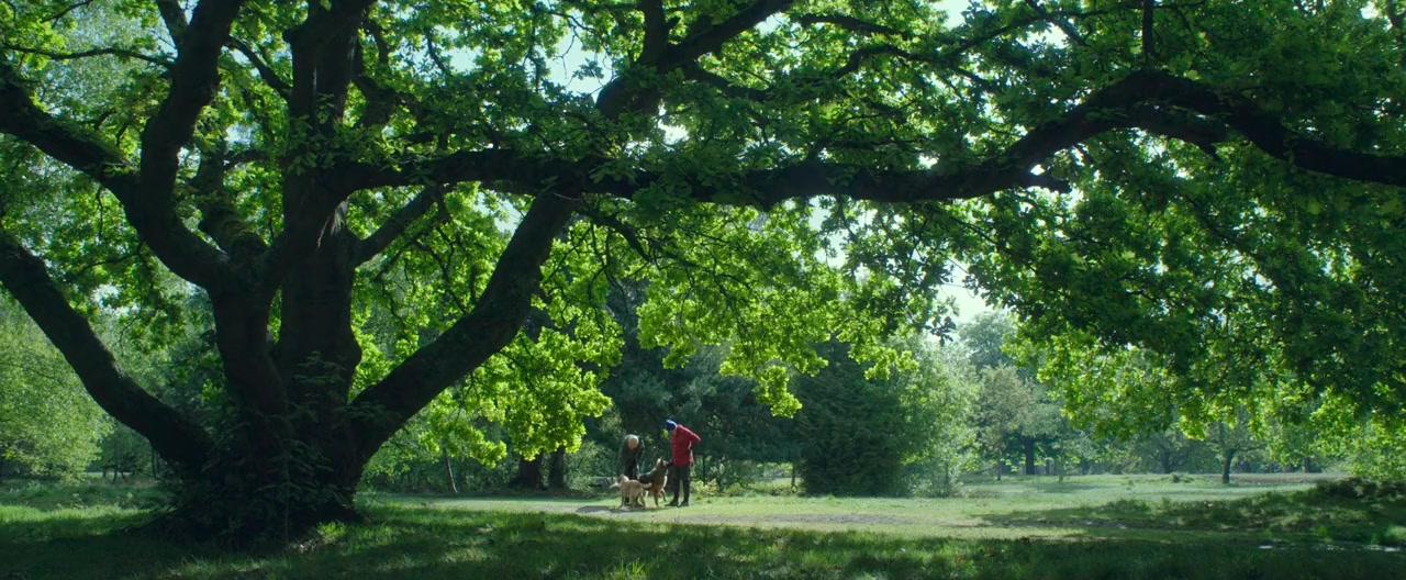 23 Walks screenshot 1
