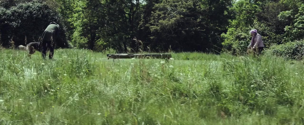 23 Walks screenshot 2