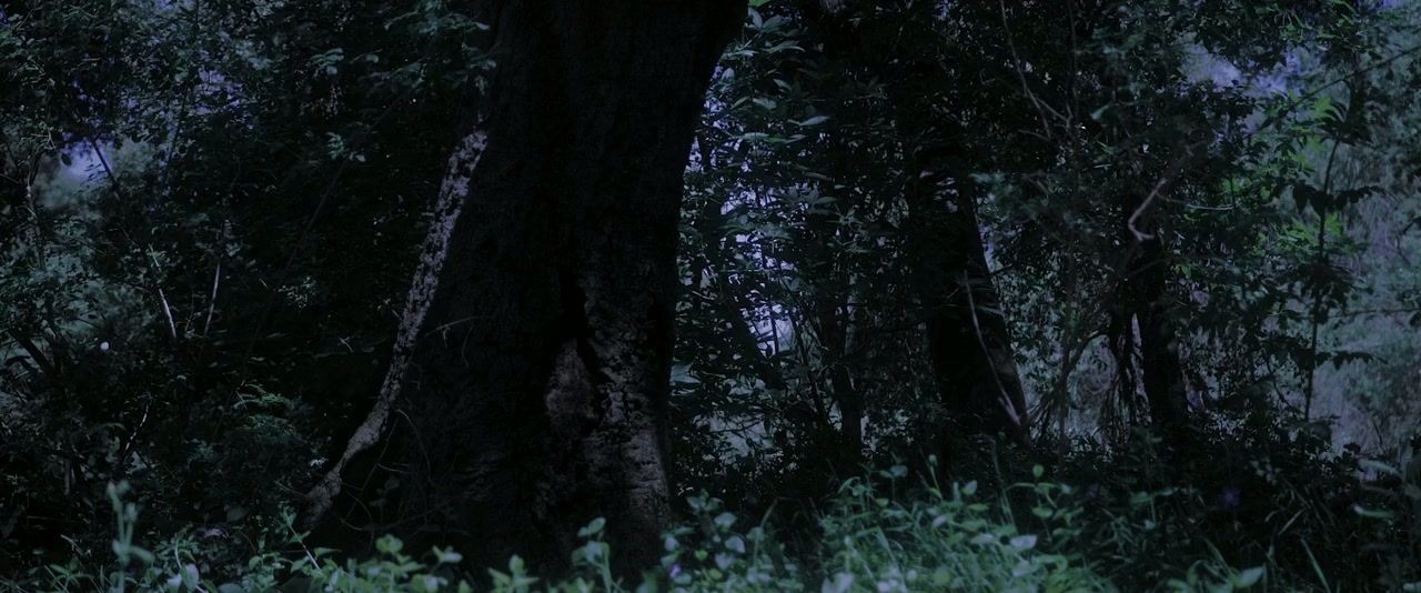 24 Hours to D-Day screenshot 1