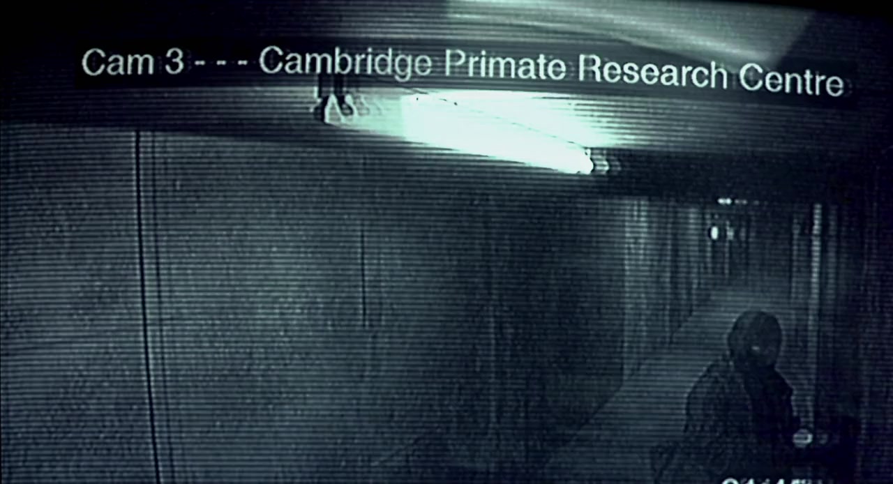 28 Days Later screenshot 3