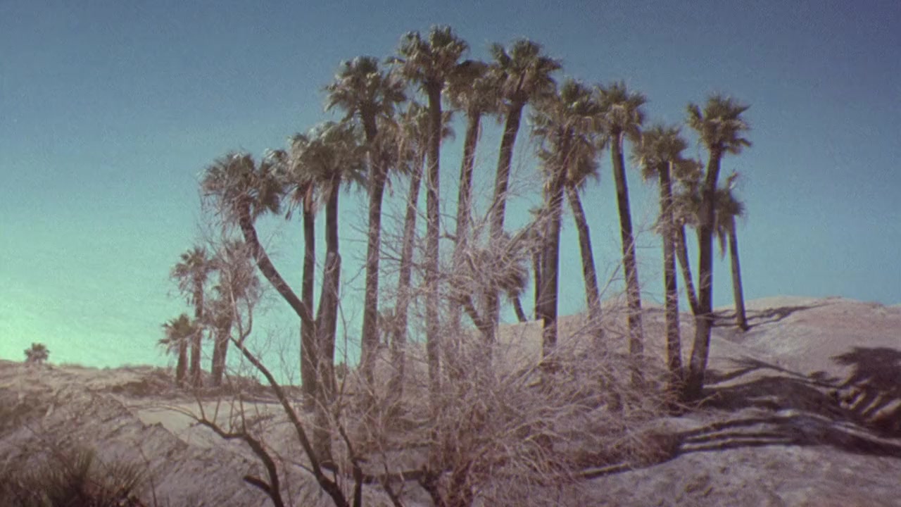 29 Palms screenshot 1