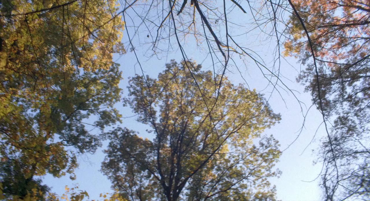 306 Hollywood screenshot 1