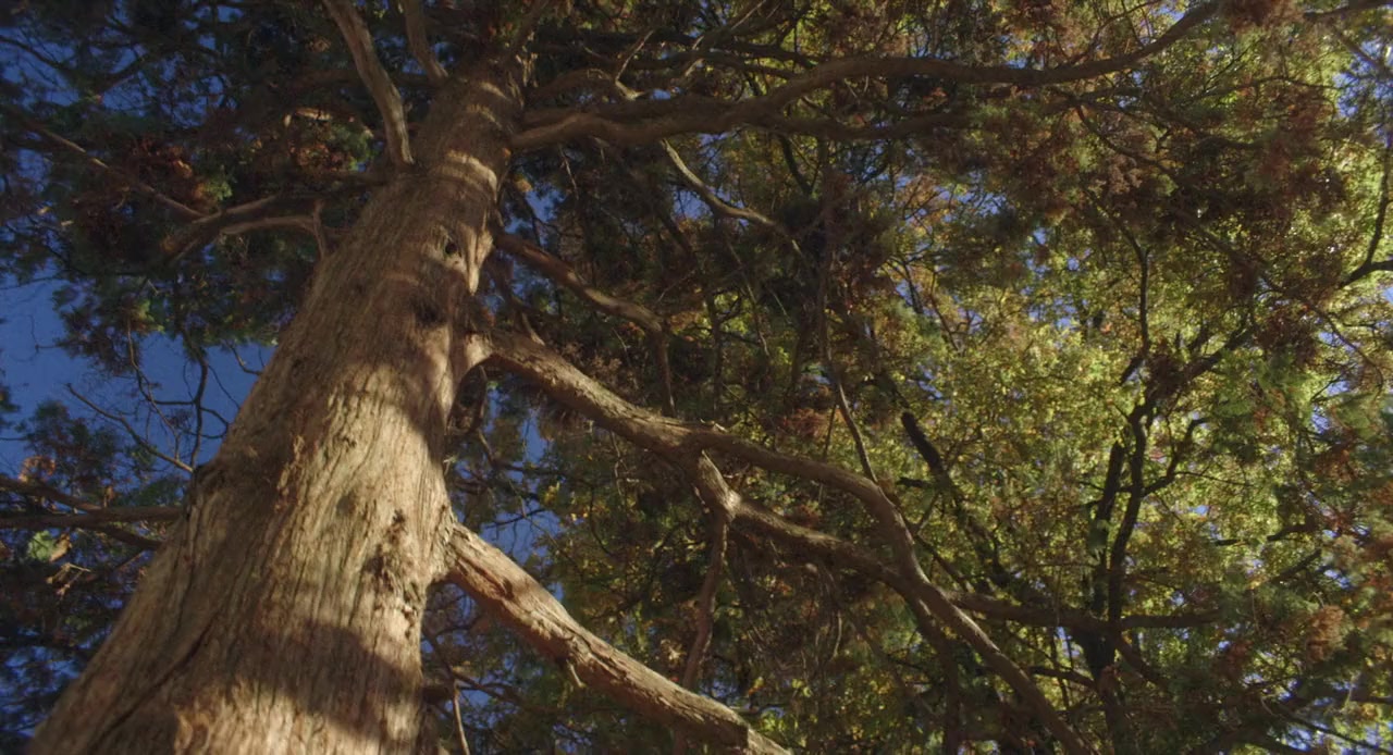 306 Hollywood screenshot 2