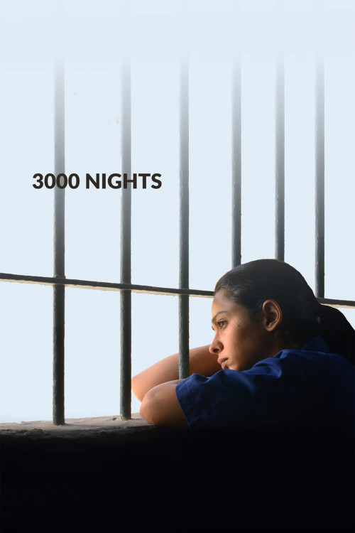 3000 Layla (2015) poster