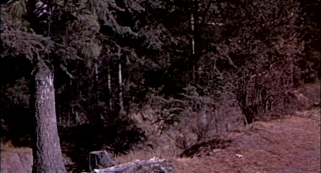 7th Cavalry screenshot 1