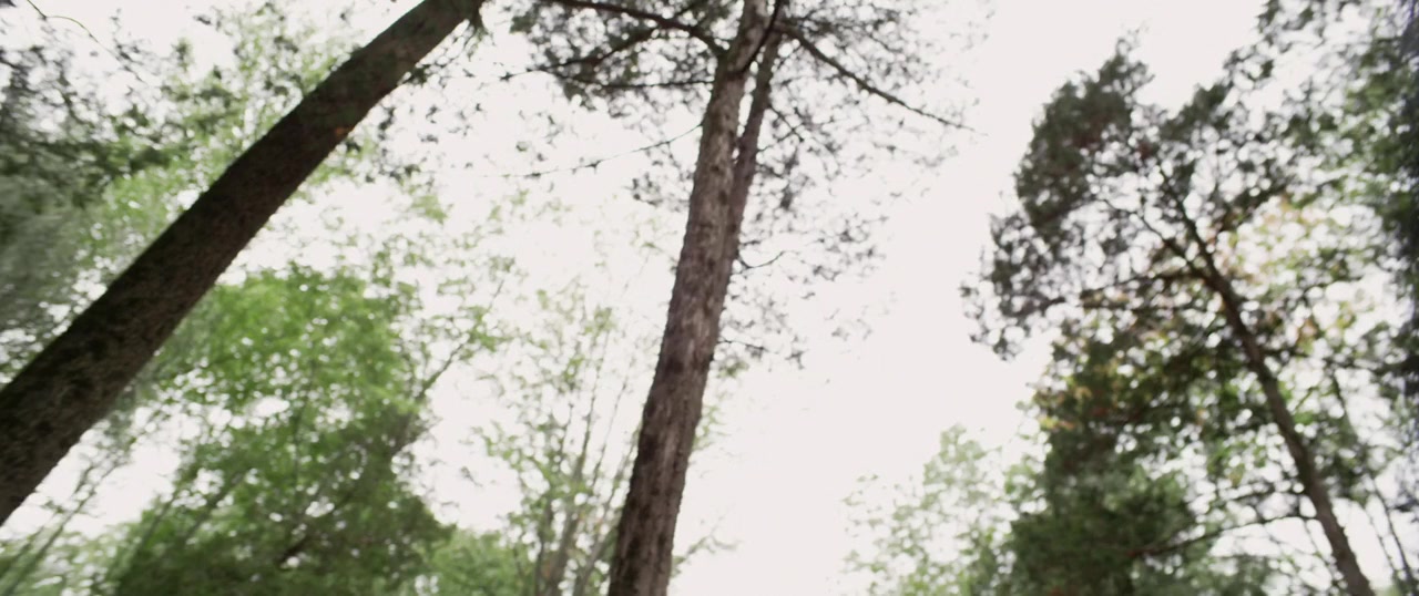 7th Secret screenshot 2