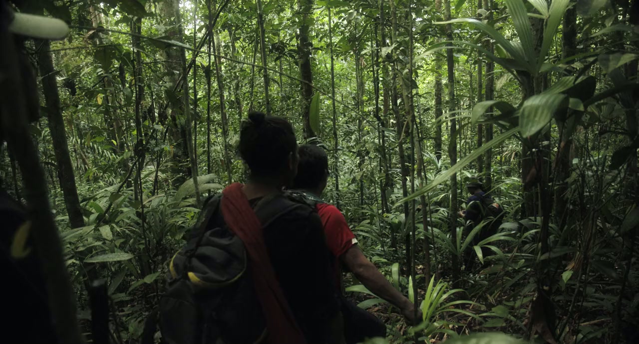 40 días perdidos en la Selva screenshot 1