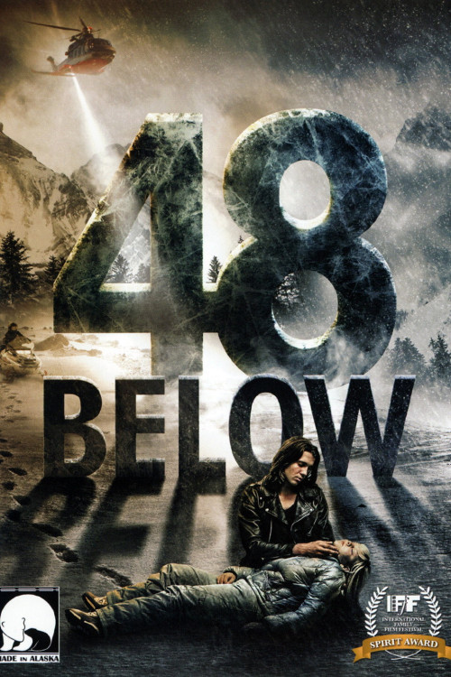 48 Below (2010) poster