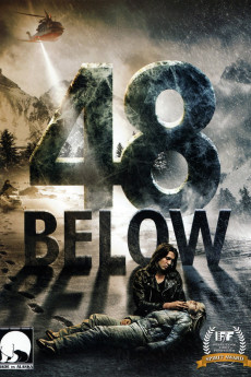 48 Below (2010) poster