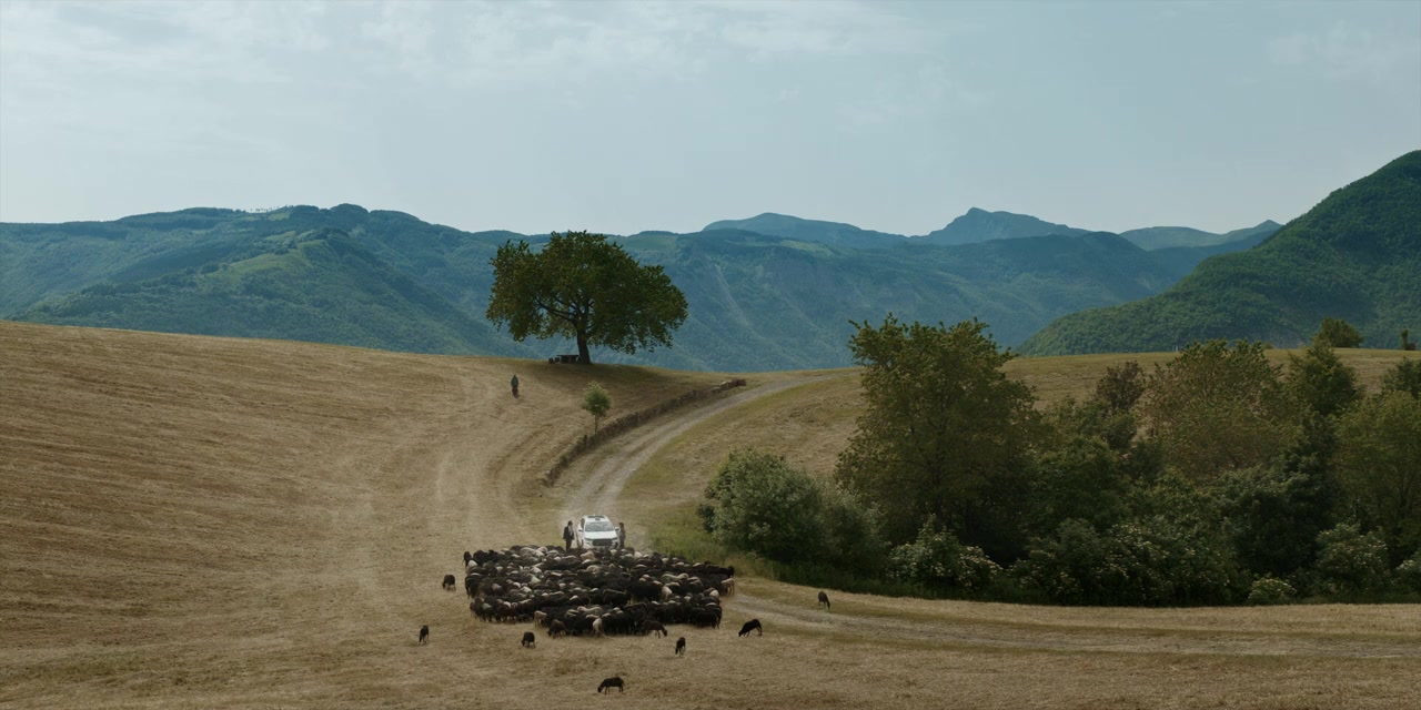 Cinquanta km all'ora screenshot 1