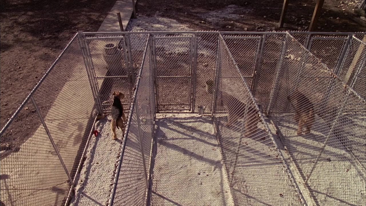 5-25-77 screenshot 1