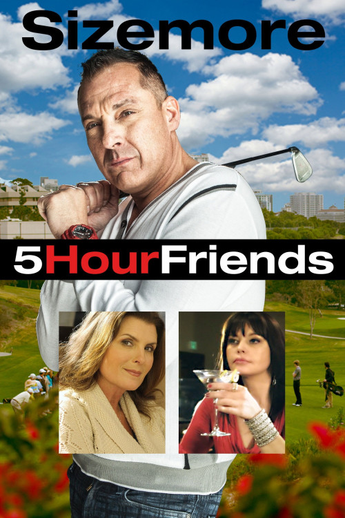 5 Hour Friends (2013) poster