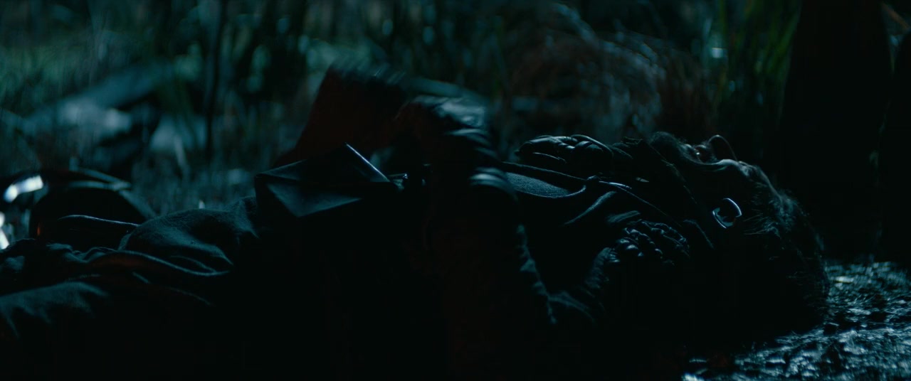 65 screenshot 3