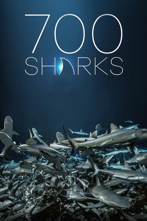 700 requins dans la nuit (2018) poster