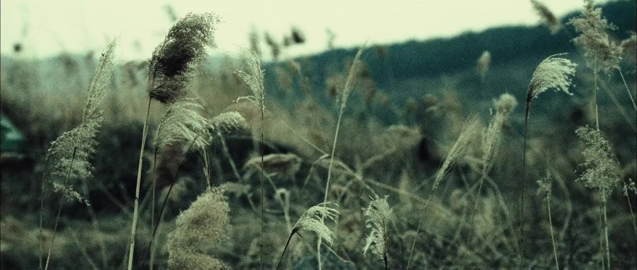 Pohwasogeuro screenshot 1