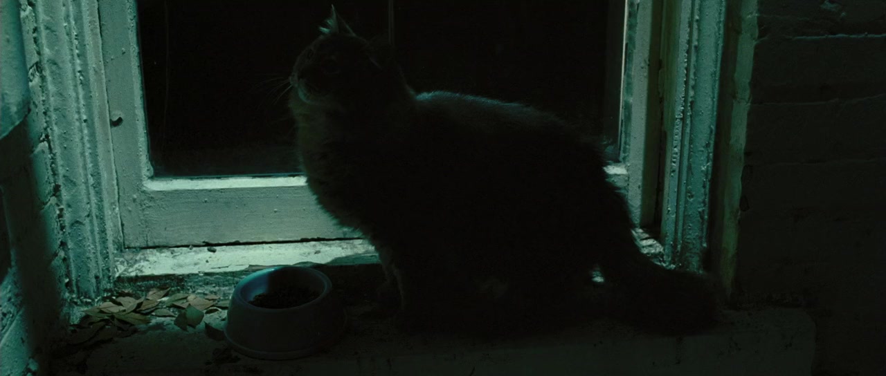 88 Minutes screenshot 3