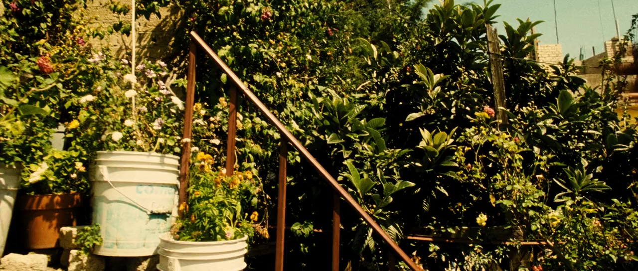 Colombiana screenshot 1